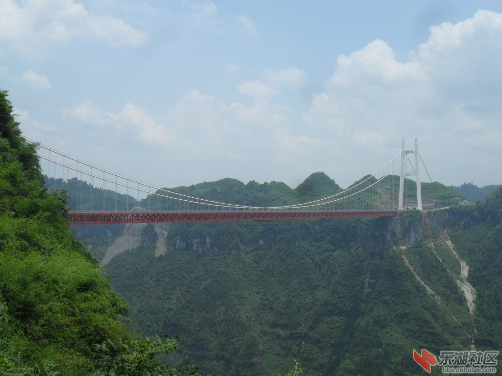 凤凰 (116).jpg