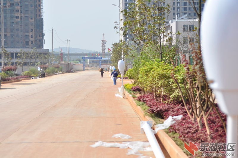 路灯1.jpg