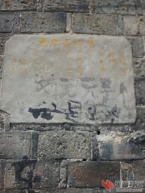 20130404_114852.jpg