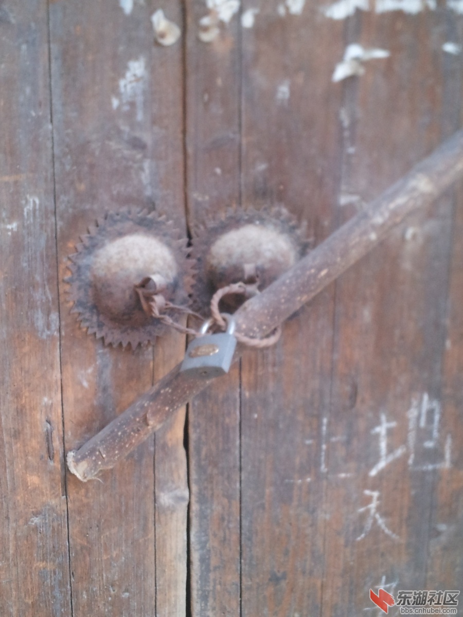 20130404_115022.jpg