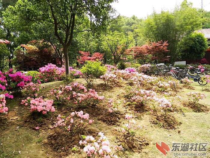 照片 043.jpg