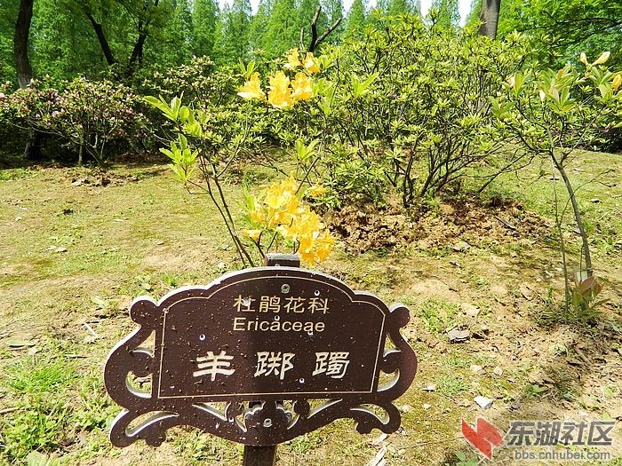 照片 049.jpg