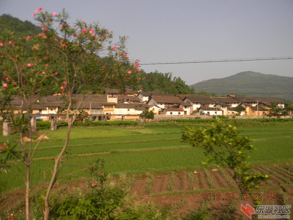 DSCN8167.JPG