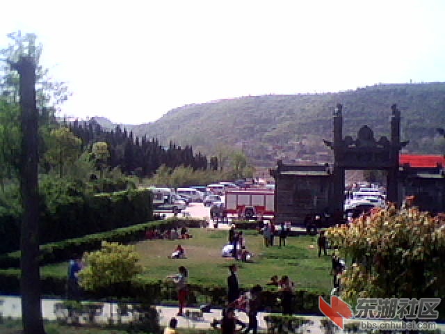 DSC_0000445.jpg