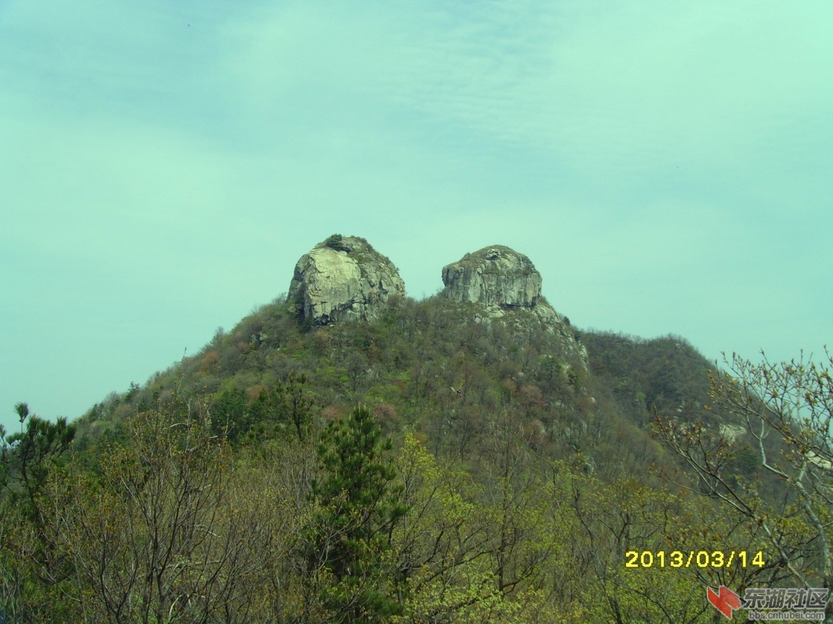 SNV38809.jpg