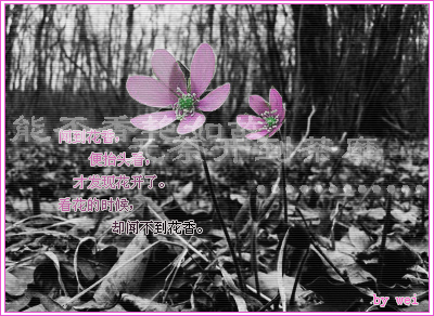 花.jpg