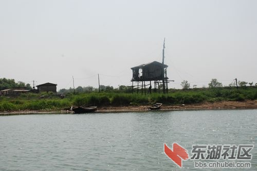 nEO_IMG_DSC_2131.jpg