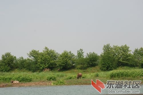 nEO_IMG_DSC_2136.jpg