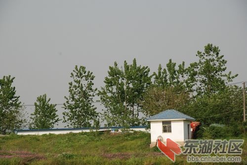 nEO_IMG_DSC_2265.jpg
