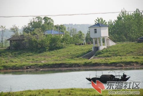 nEO_IMG_DSC_2274.jpg