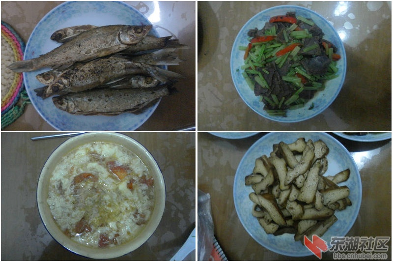 合集.jpg
