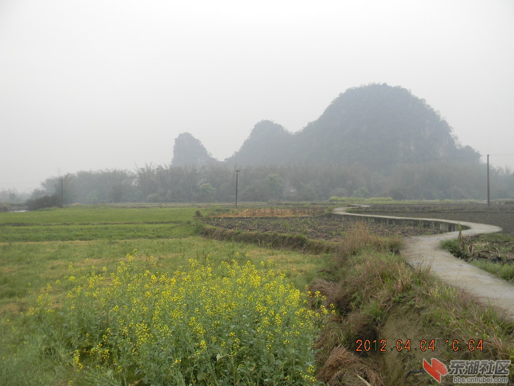DSCN9317.JPG