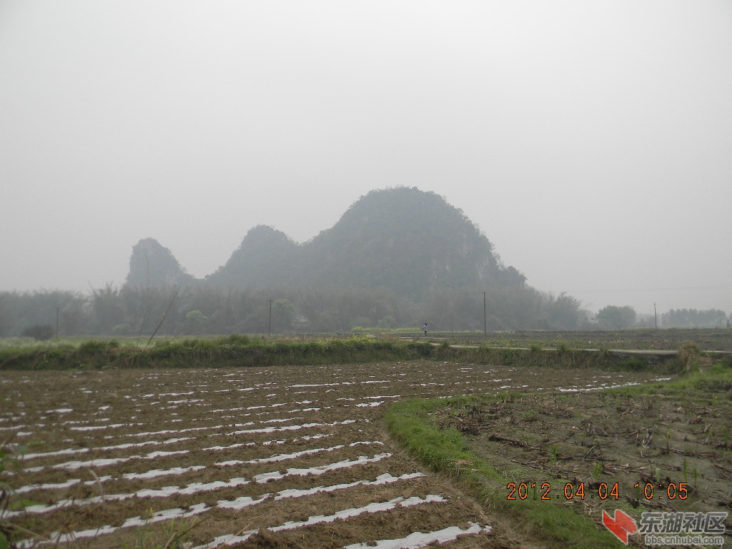 DSCN9318.JPG