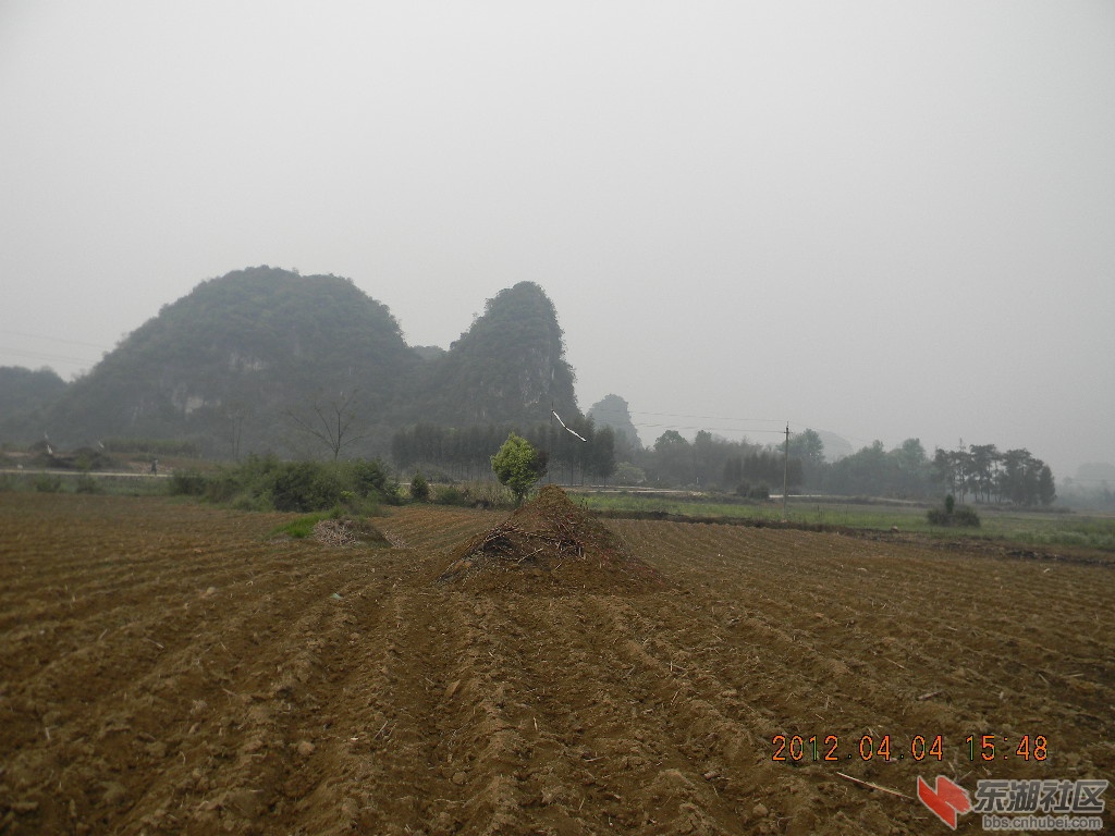 DSCN9487.JPG