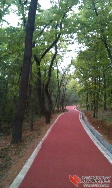 IMAG1119.jpg