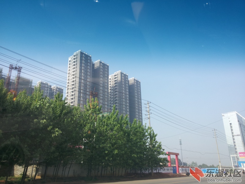 20130415_082205.jpg
