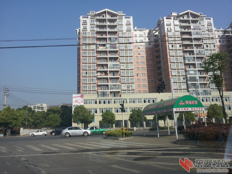 20130415_082342.jpg