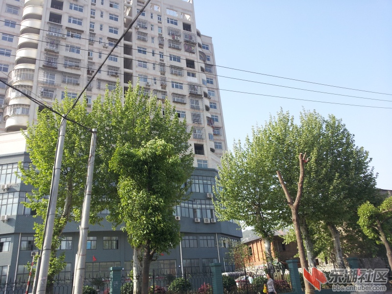 20130415_082727.jpg