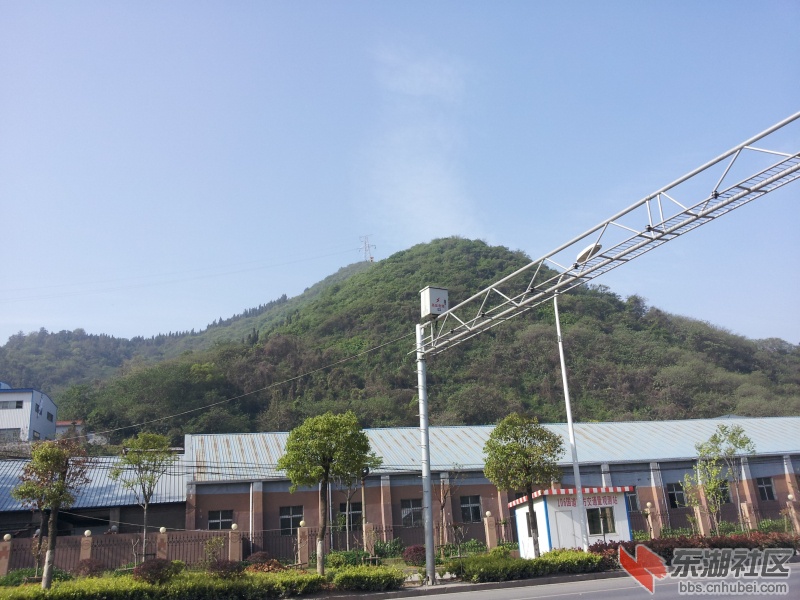 20130415_084253.jpg