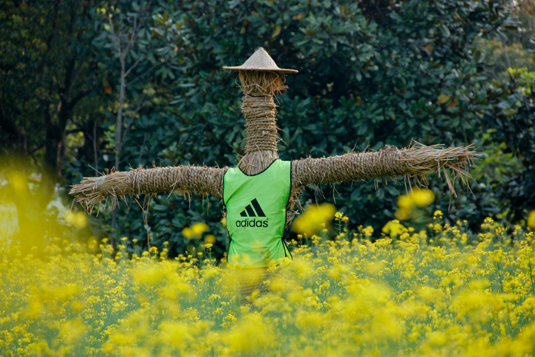 稻草人1.jpg