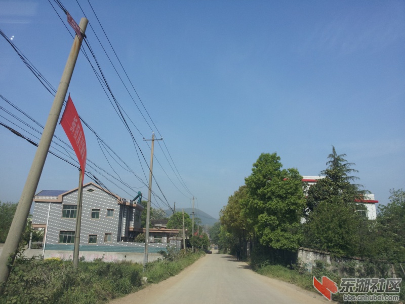 20130415_085737.jpg