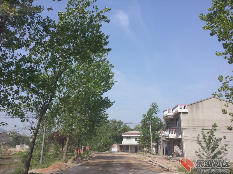 20130415_091340.jpg