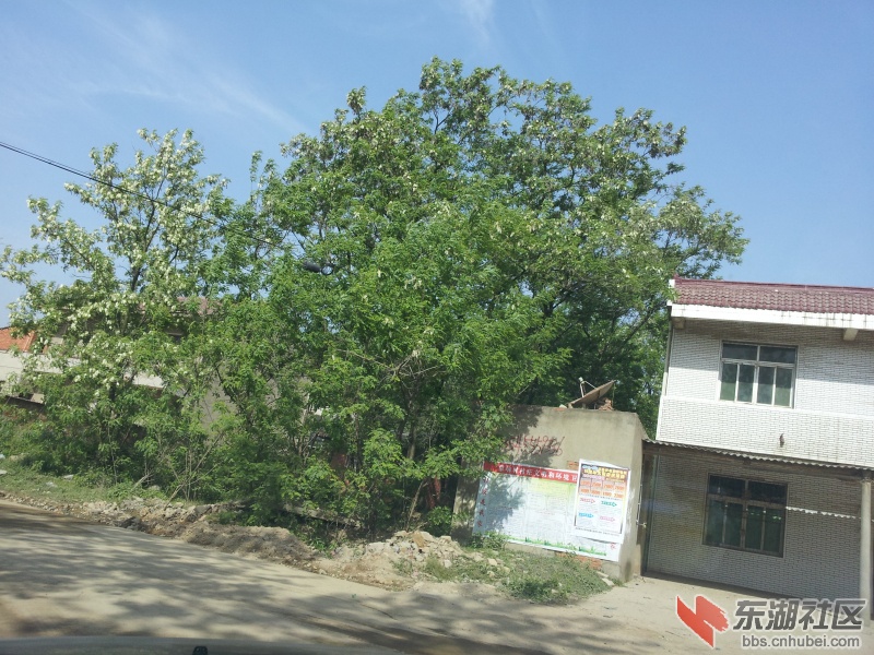 20130415_091351.jpg