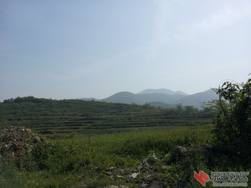 20130415_092356.jpg