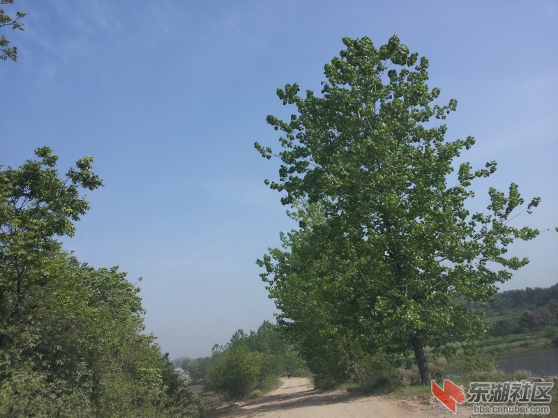 20130415_092410.jpg