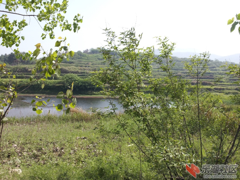 20130415_092422.jpg