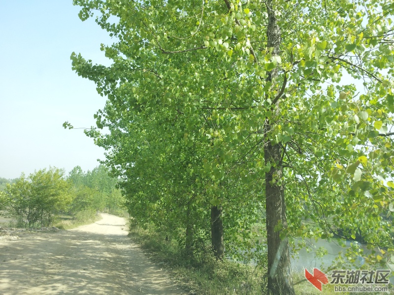 20130415_092435.jpg