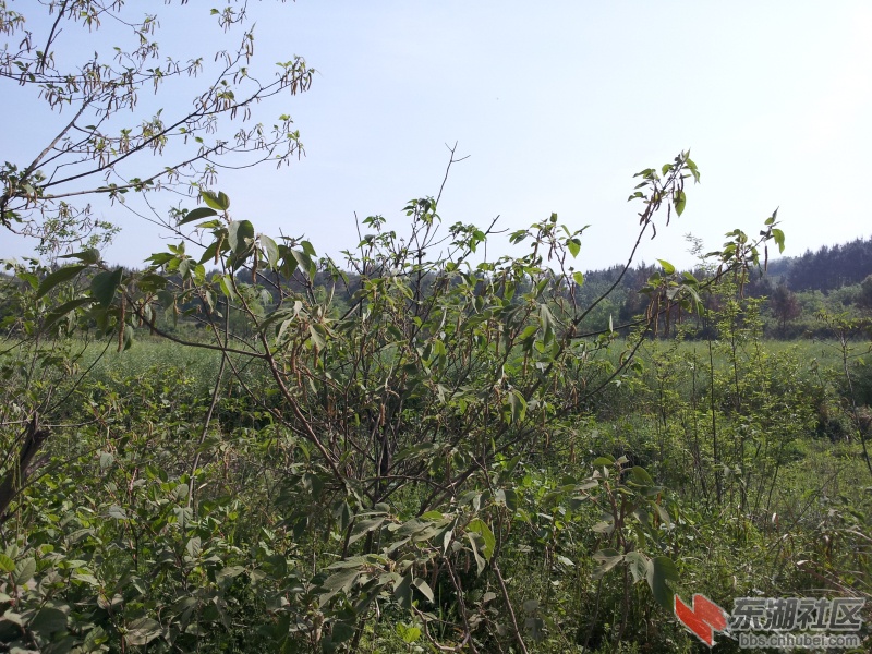 20130415_092535.jpg