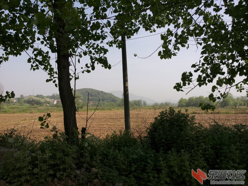 20130415_093128.jpg