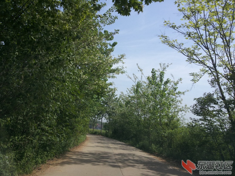 20130415_100140.jpg
