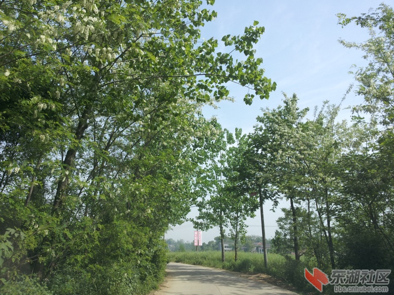 20130415_100145.jpg