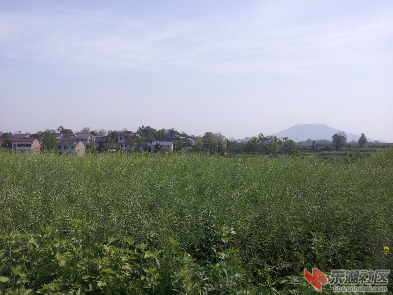 20130415_100204.jpg