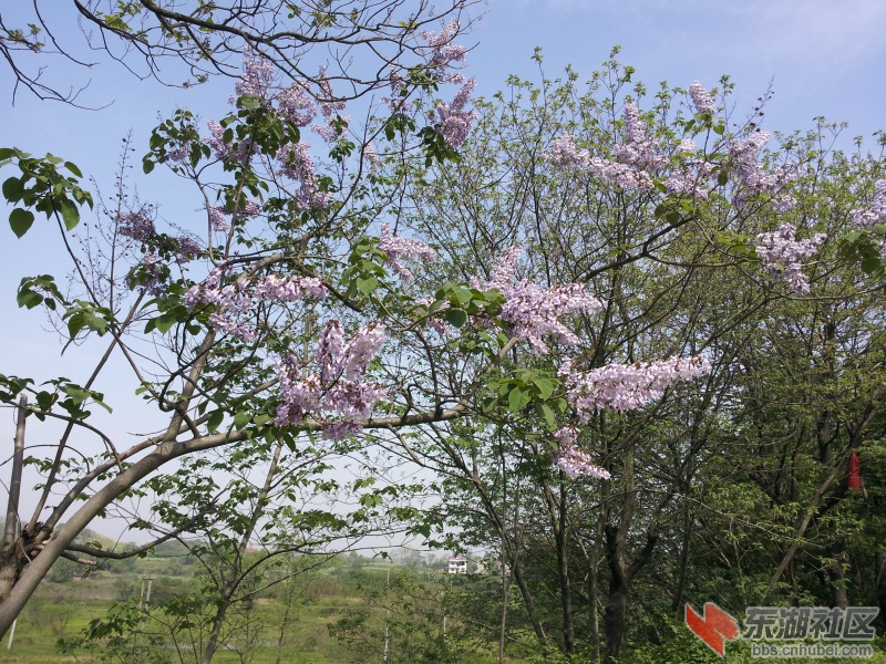 20130415_100347.jpg