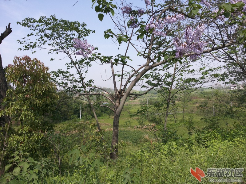 20130415_100355.jpg