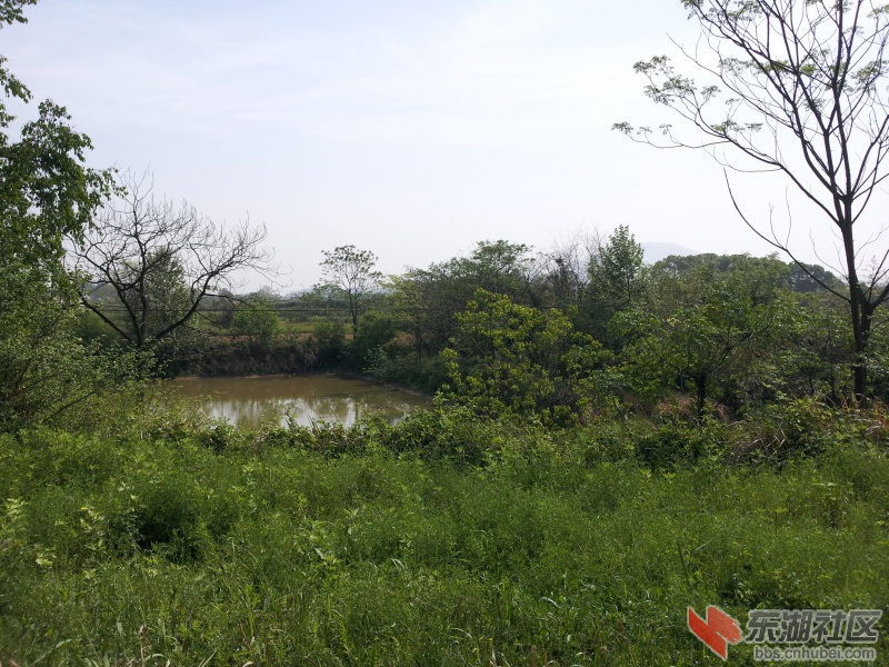 20130415_100359.jpg