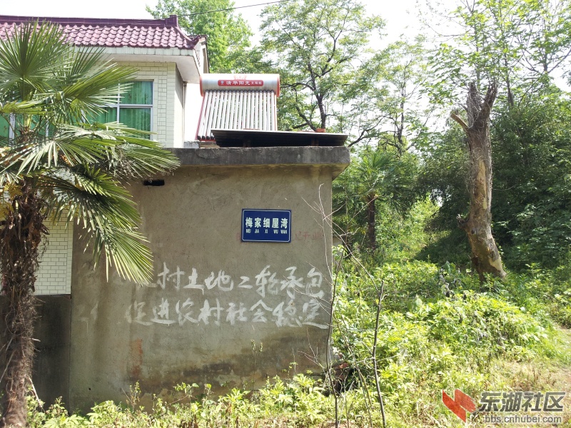 20130415_101012.jpg