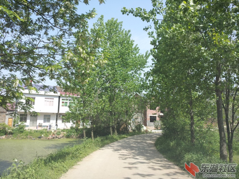 20130415_101308.jpg