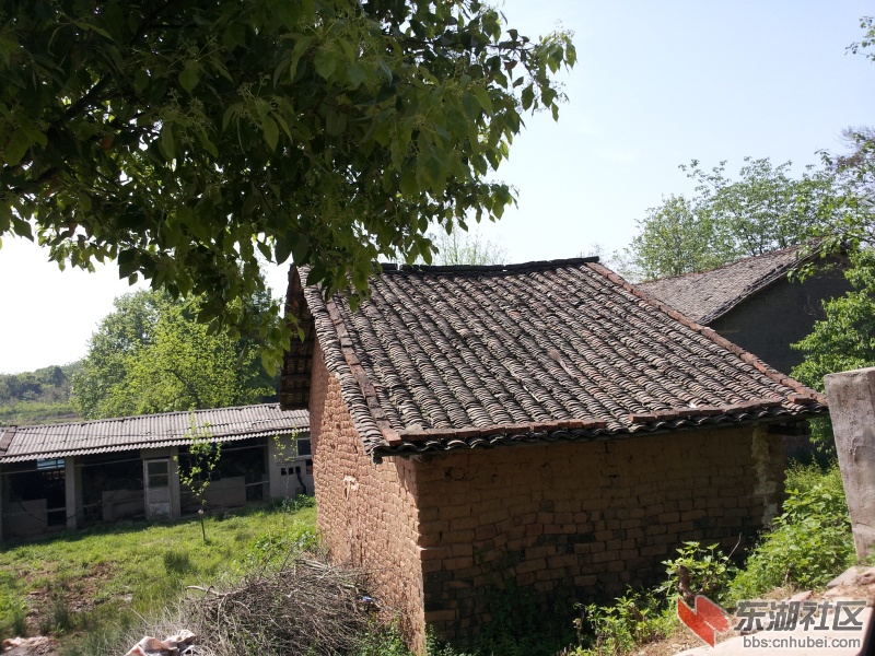 20130415_101406.jpg