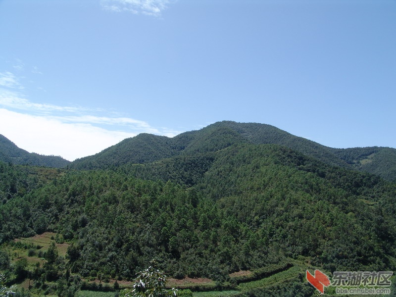生态林.jpg
