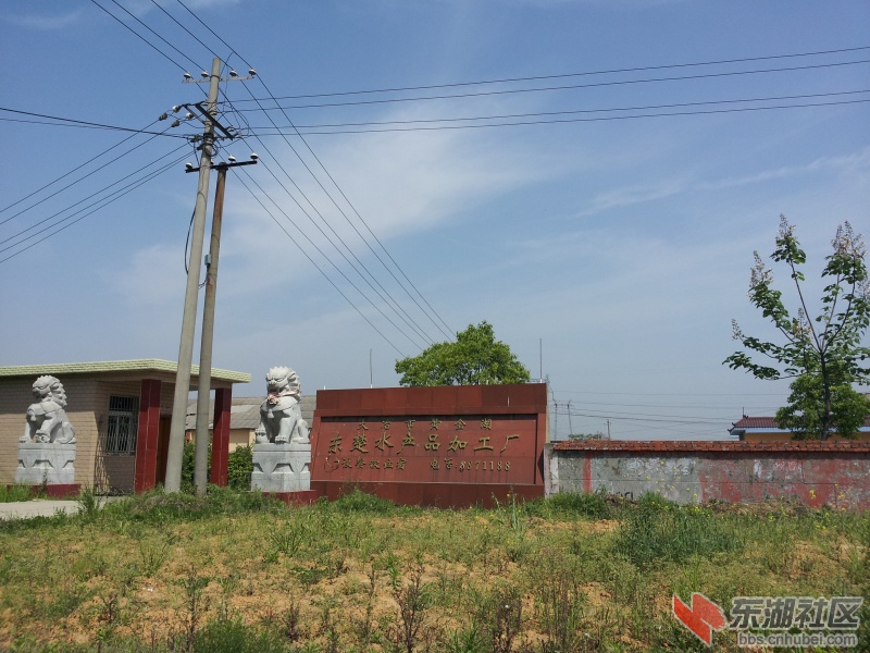 20130415_104721.jpg