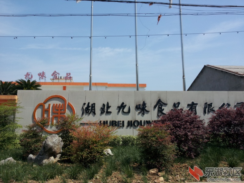 20130415_104818.jpg
