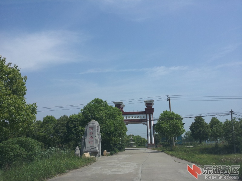 20130415_104936.jpg