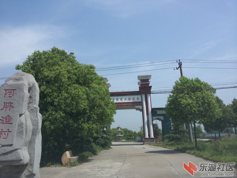 20130415_104939.jpg