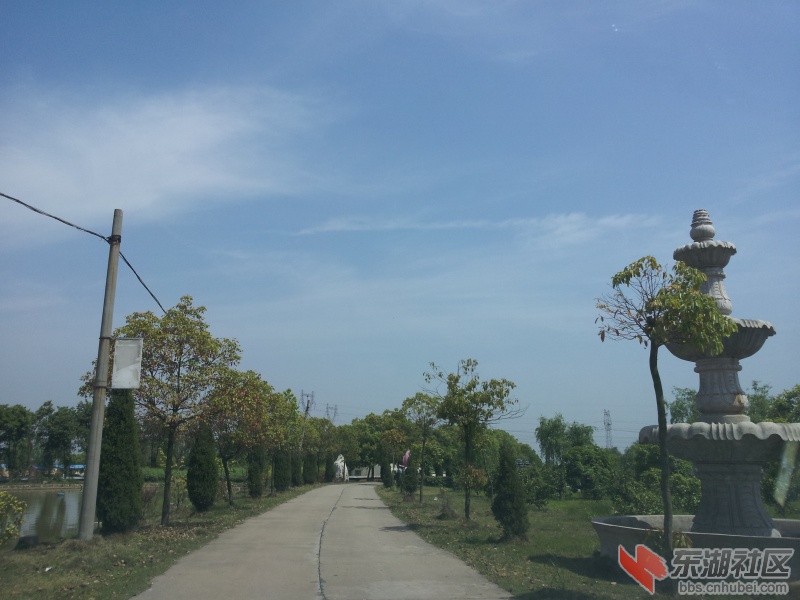 20130415_105006.jpg