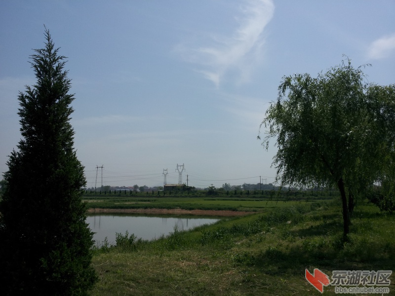 20130415_105041.jpg