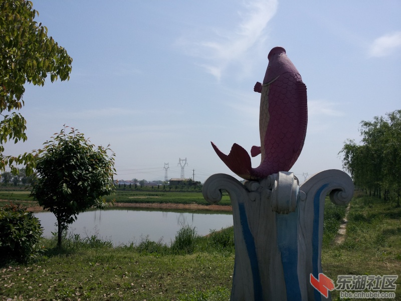 20130415_105052.jpg